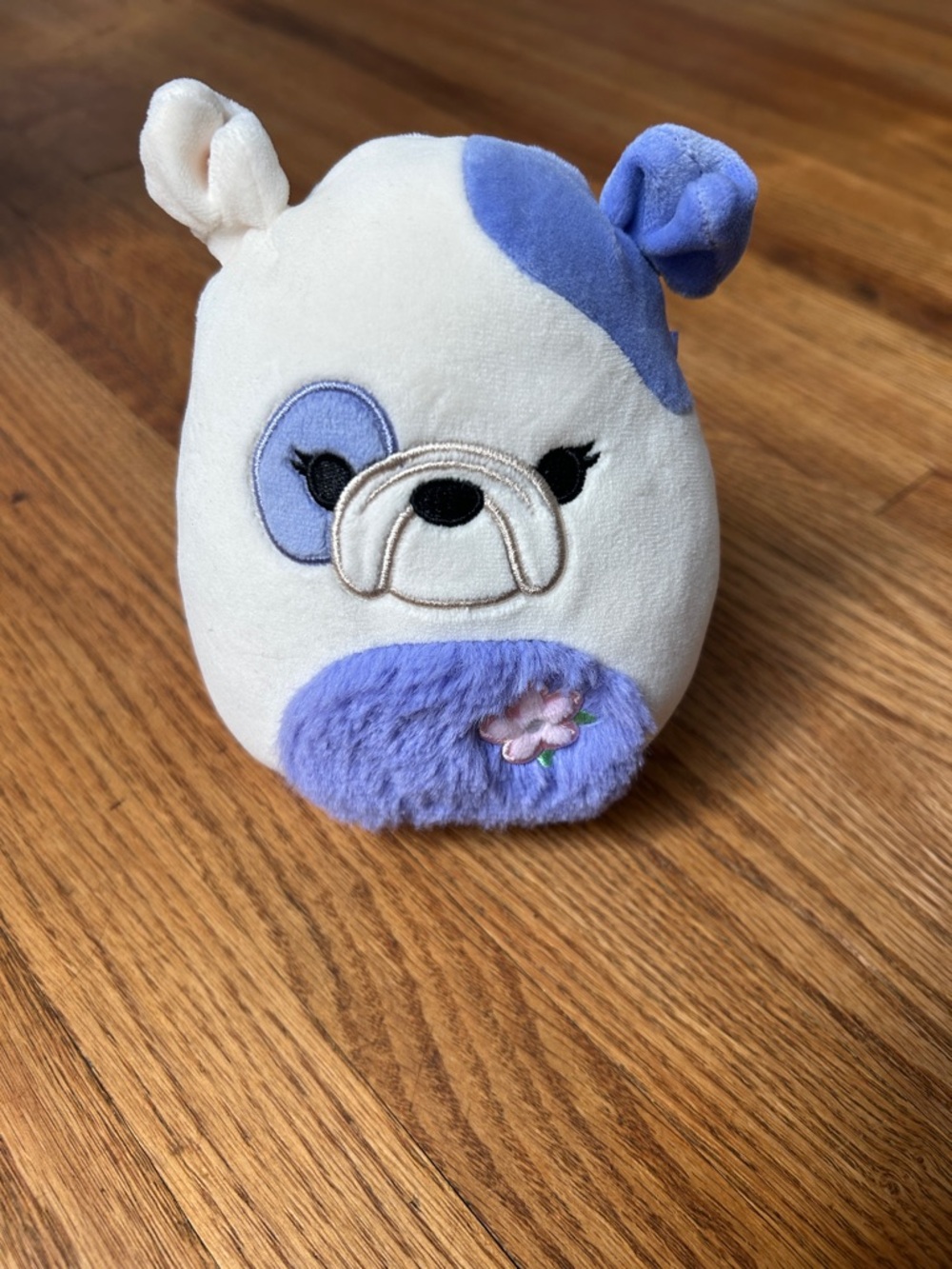 Squishmallows Cream Plush with Rainbow Logo Tag
